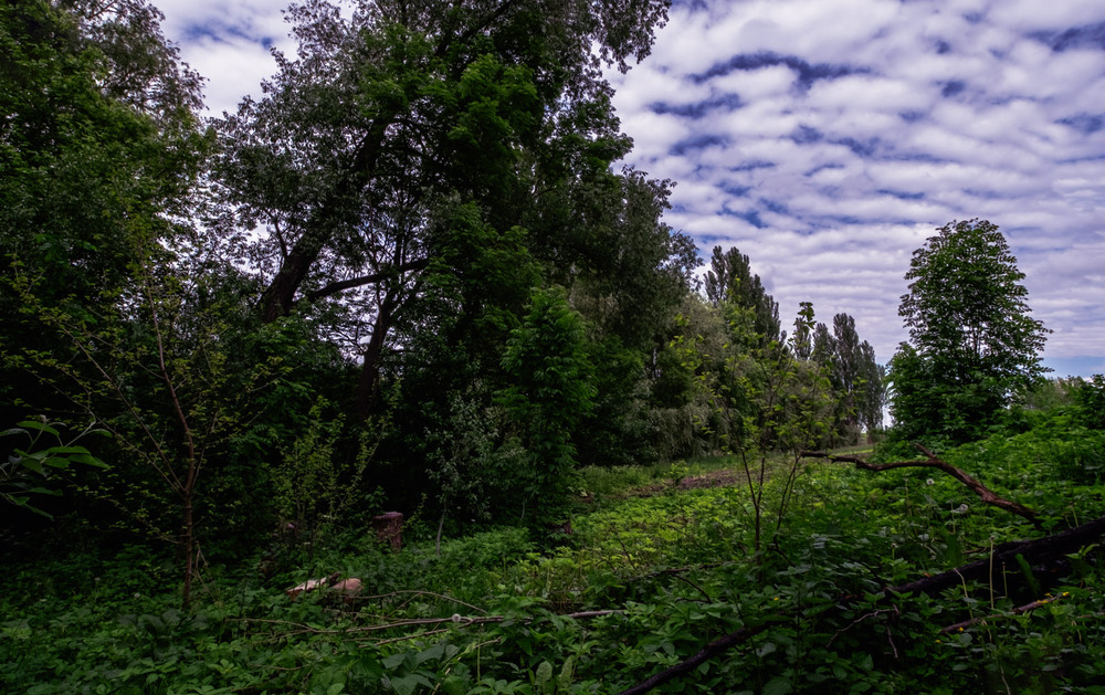 Фотографія Разное / MAN / photographers.ua