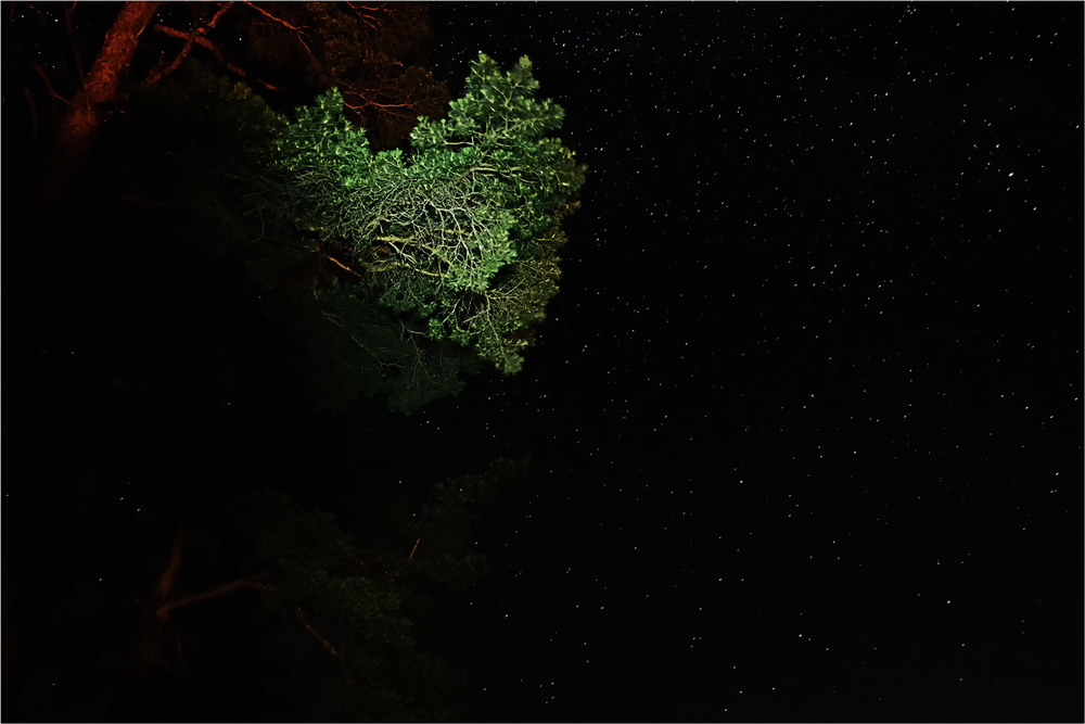 Фотографія Разное / MAN / photographers.ua