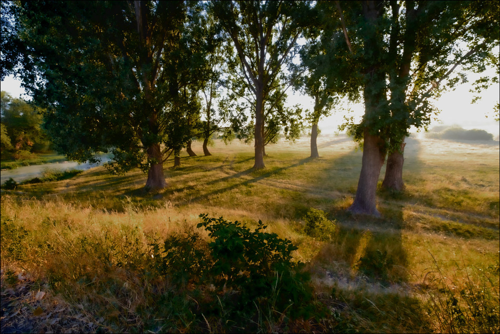 Фотографія Пейзаж / MAN / photographers.ua