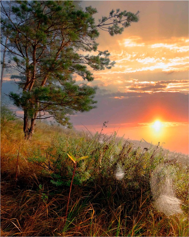 Фотографія Пейзаж / MAN / photographers.ua