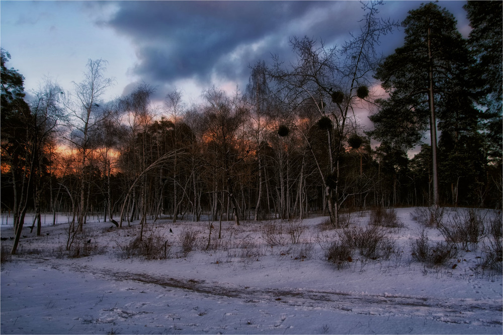 Фотографія Когда была зима... / MAN / photographers.ua