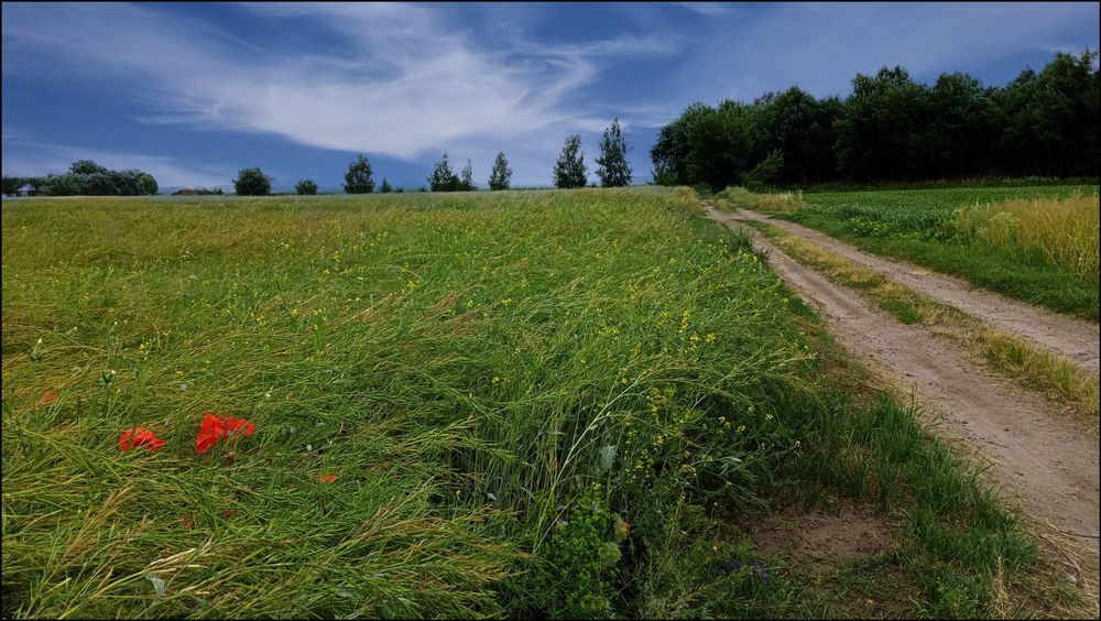 Фотографія Пейзаж / MAN / photographers.ua