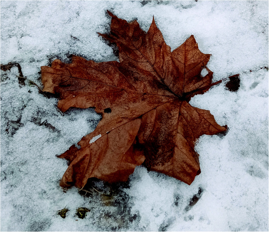 Фотографія Змерзле минуле... / MAN / photographers.ua