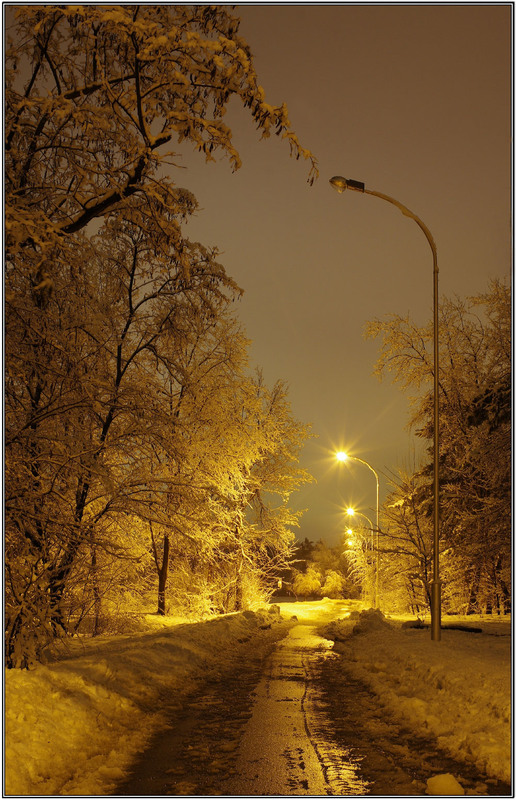 Фотографія Золотая зимняя ночь / MAN / photographers.ua