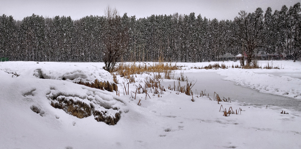 Фотографія Заметала зима,заметала... / MAN / photographers.ua