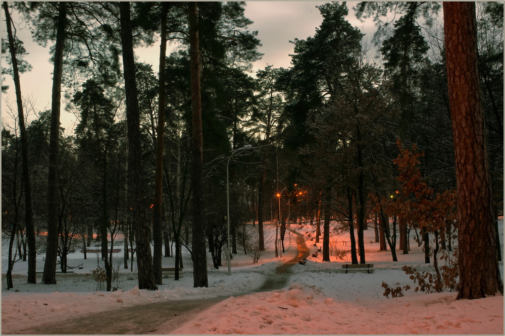Фотографія Зимовим парком ввечері... / MAN / photographers.ua