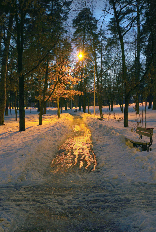 Фотографія Вечірня прогулянка... / MAN / photographers.ua