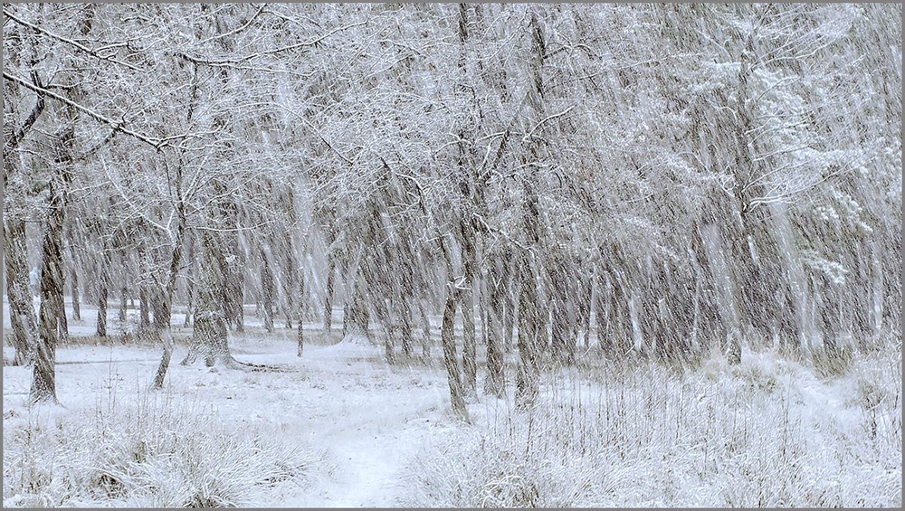 Фотографія Не стримуйте себе,негода є нагода... / MAN / photographers.ua