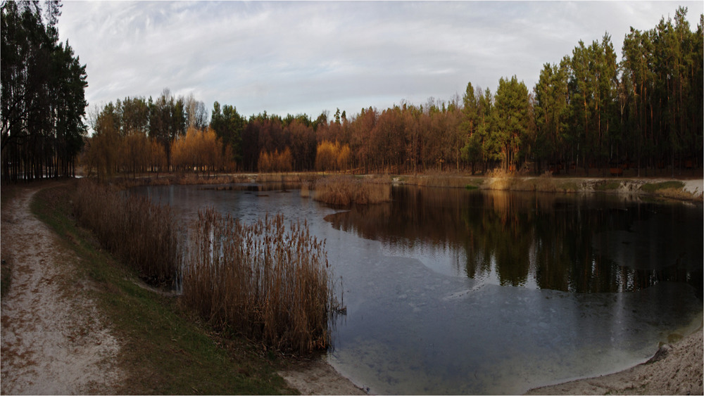 Фотографія Сочинение на тему:островок на озерце... / MAN / photographers.ua