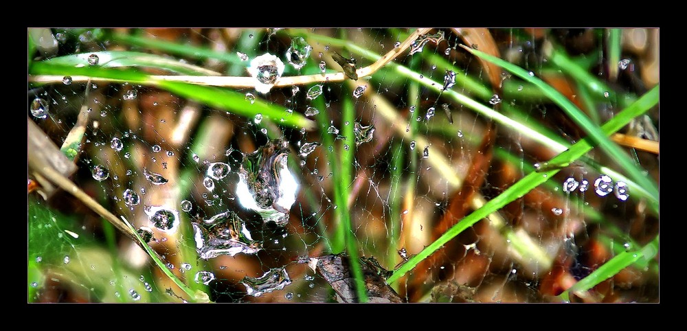 Фотографія Гламур / MAN / photographers.ua