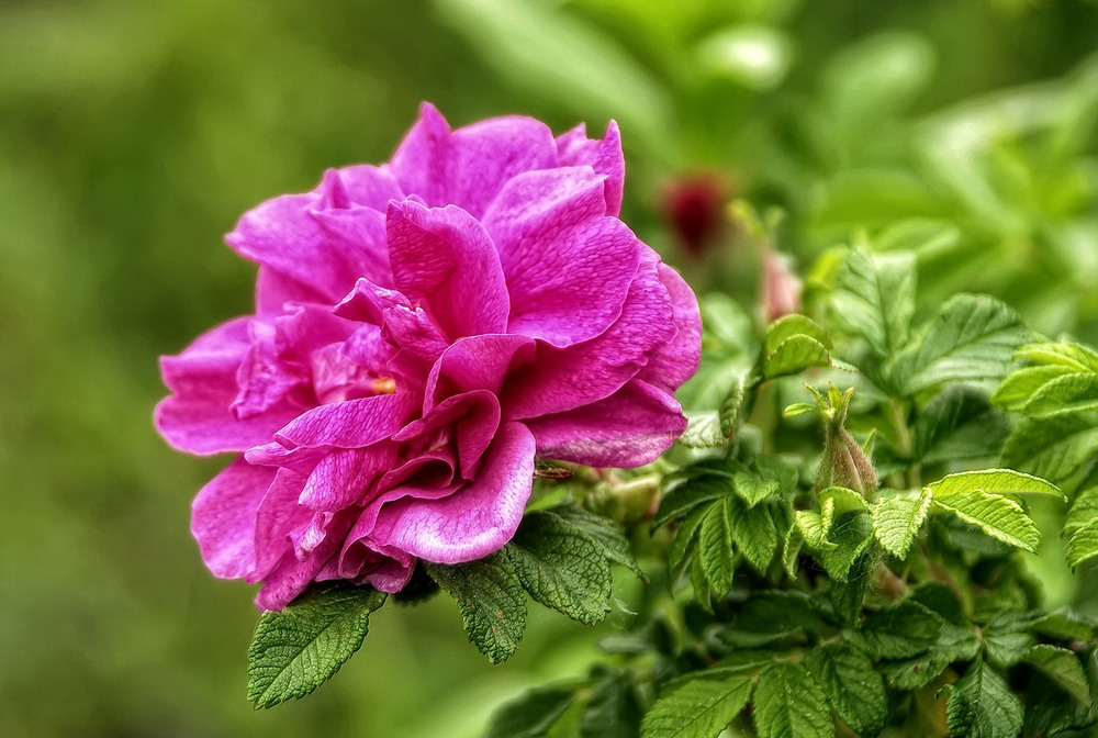 Фотографія Разное / MAN / photographers.ua