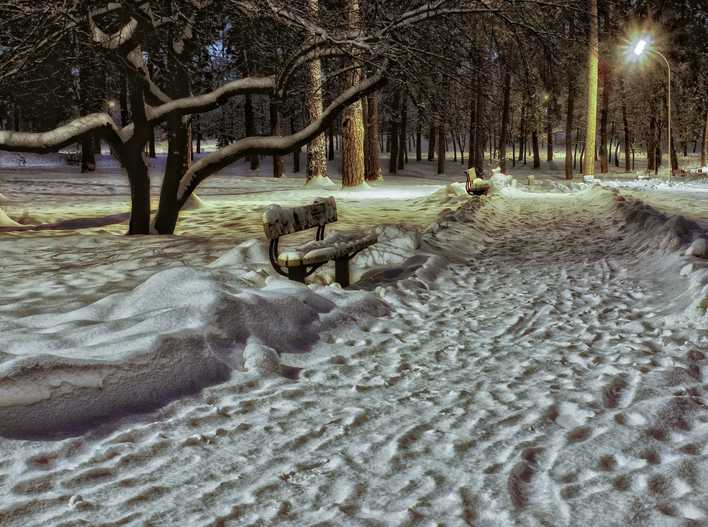 Фотографія Немає зайвих місць,все сніг заполонив / MAN / photographers.ua