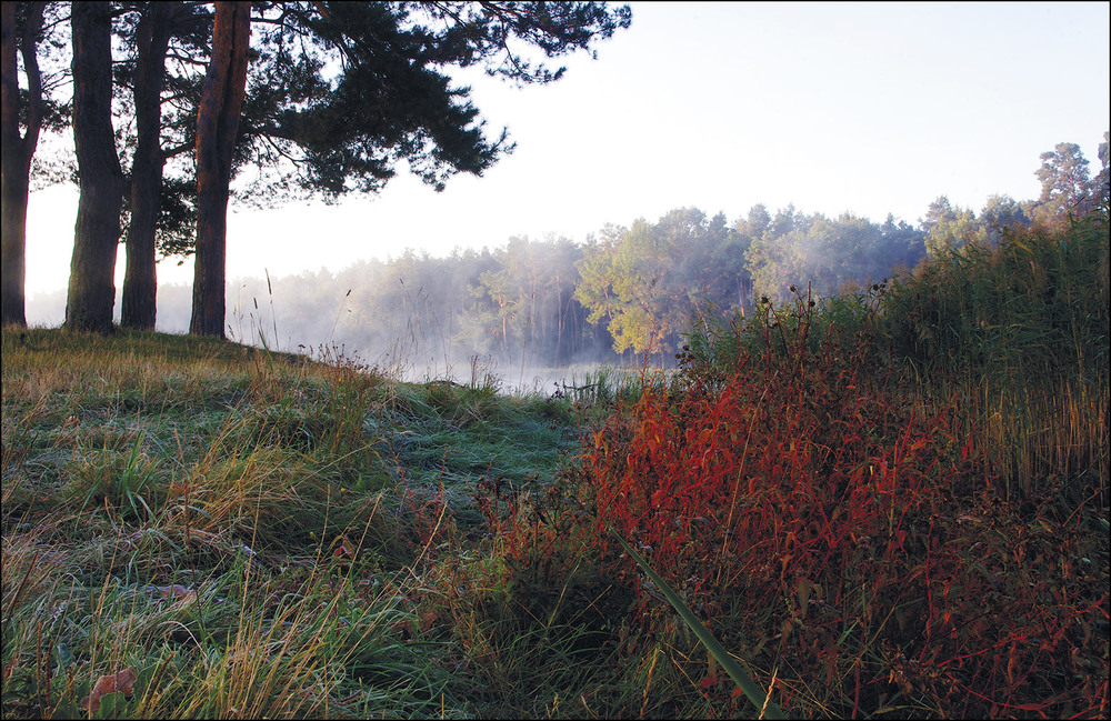 Фотографія Пейзаж / MAN / photographers.ua