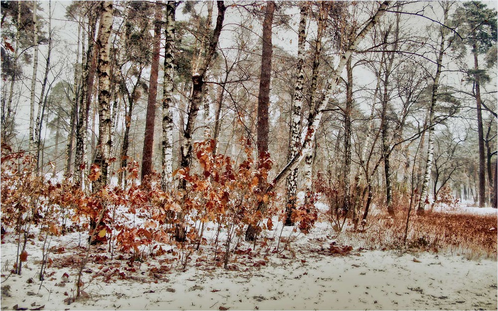 Фотографія Зимняя осень / MAN / photographers.ua