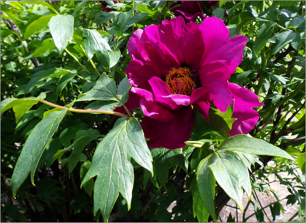 Фотографія Разное / MAN / photographers.ua