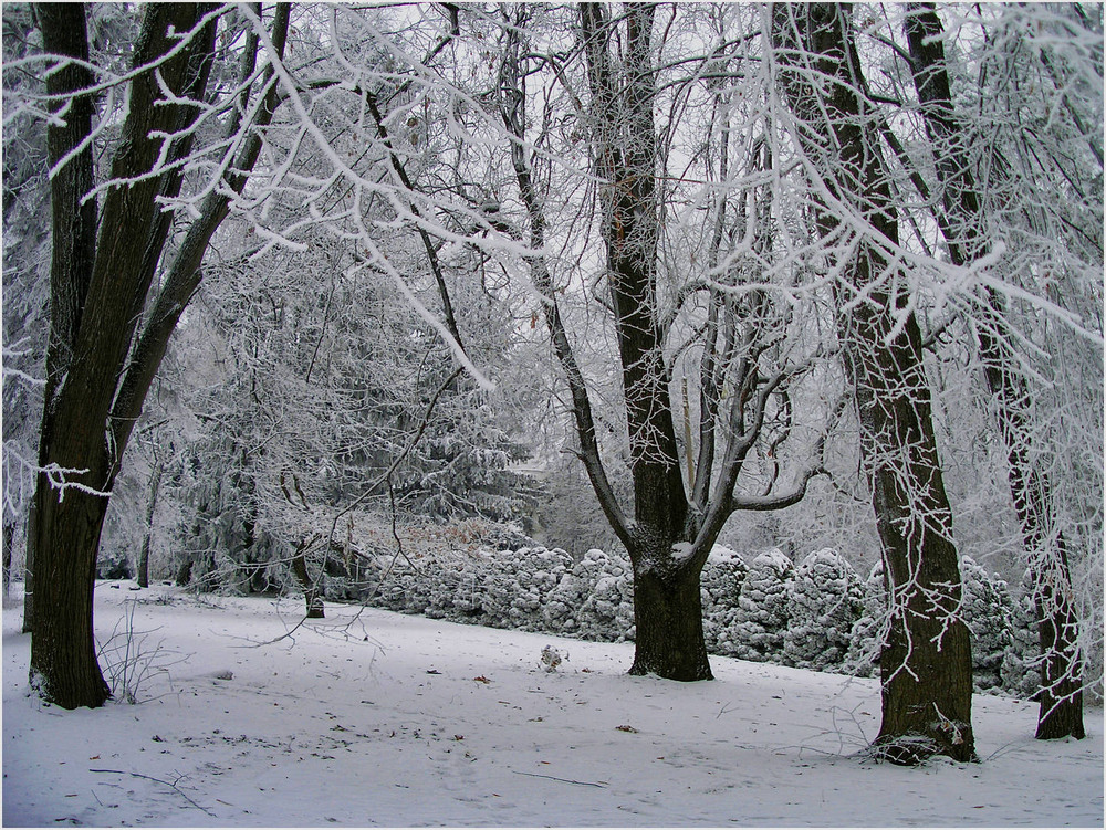 Фотографія Сновидіння. / MAN / photographers.ua