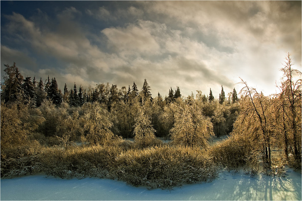 Фотографія Хрустальная зима / Siber / photographers.ua