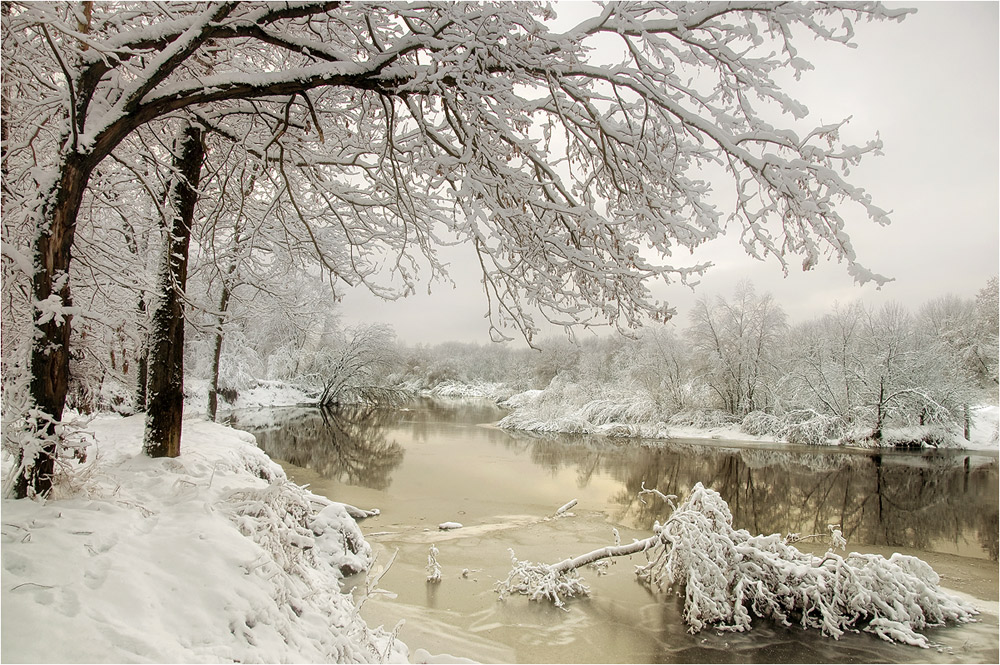 Фотографія В краю снегов и туманов.. / Siber / photographers.ua
