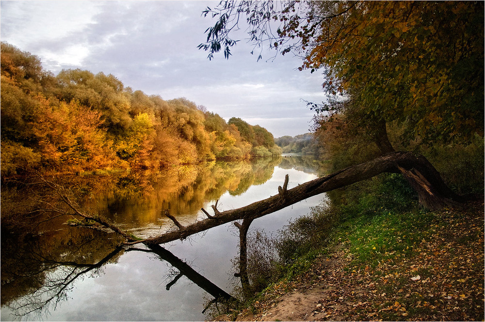 Фотографія Осенний облом / Siber / photographers.ua