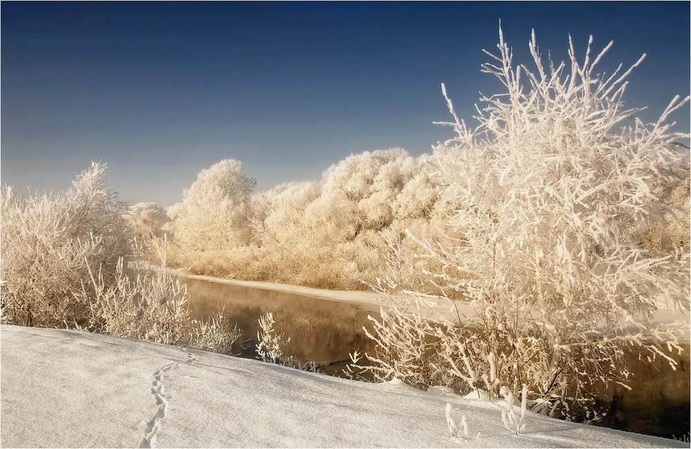 Фотографія Зимний крот / Siber / photographers.ua