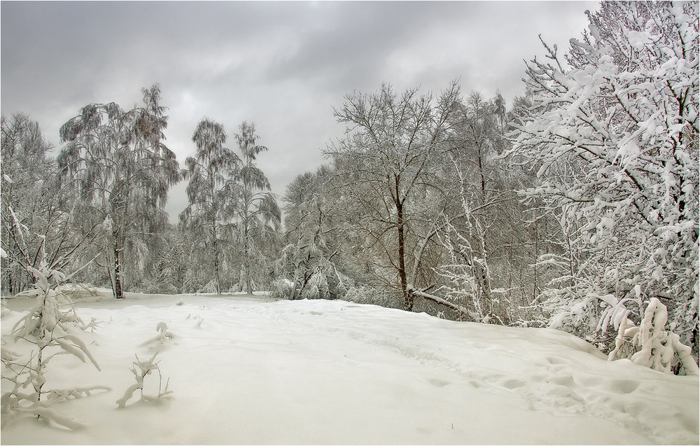 Фотографія Воспоминания о зиме / Siber / photographers.ua