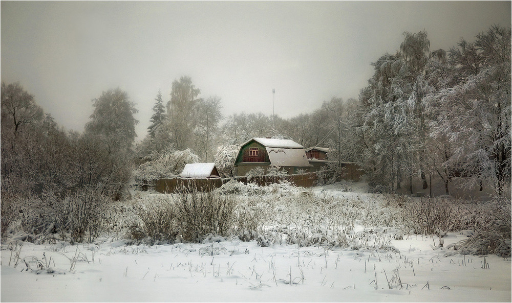 Фотографія Привет Санта-Клаусу / Siber / photographers.ua