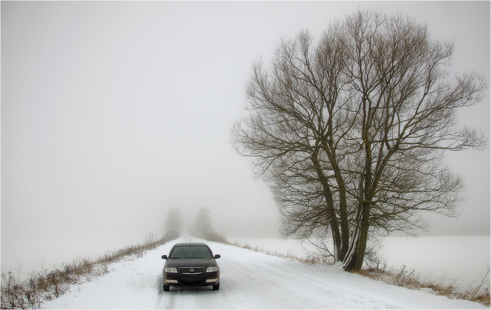 Фотографія Ежик в тумане или выезд из потустороннего мира.. / Siber / photographers.ua