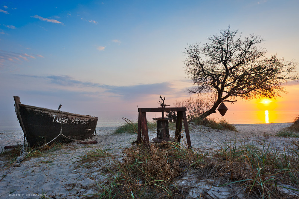 Фотографія * * * / Dmitriy Shebaldin / photographers.ua