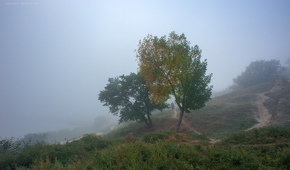 Фотографія * * * / Dmitriy Shebaldin / photographers.ua