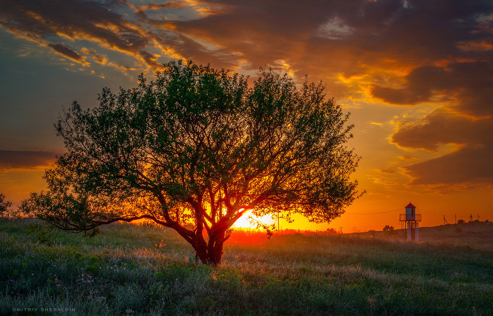 Фотографія Пламя заката / Dmitriy Shebaldin / photographers.ua