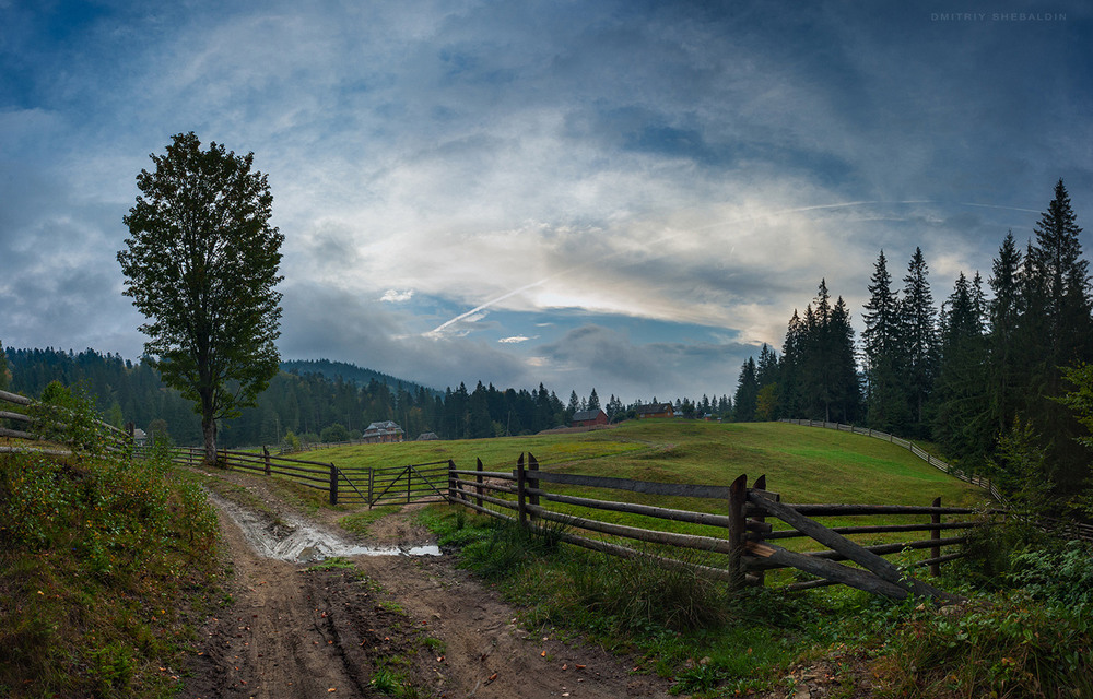 Фотографія * * * / Dmitriy Shebaldin / photographers.ua