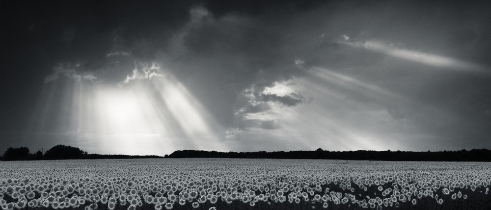 Фотографія Lux Caelestis / Андрій Майковський / photographers.ua