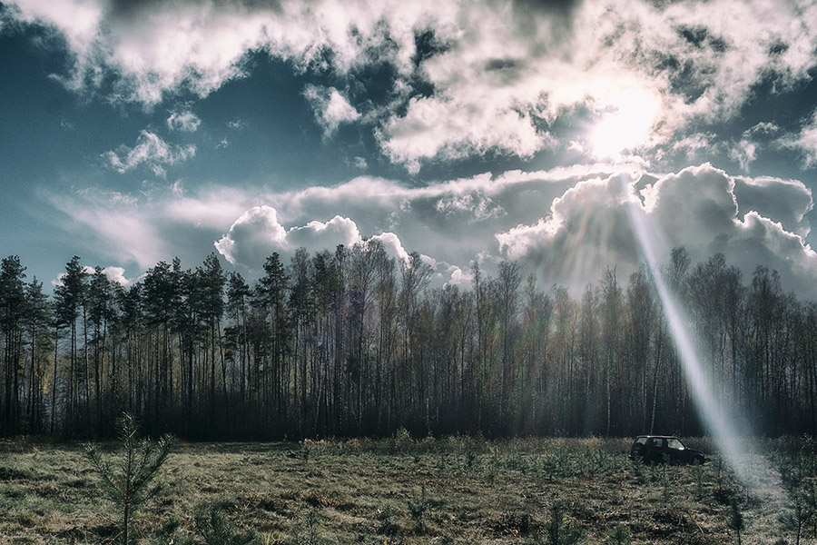Фотографія Solitude forest. / Андрій Майковський / photographers.ua