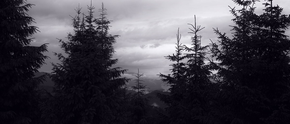 Фотографія Smereka Meditation / Андрій Майковський / photographers.ua