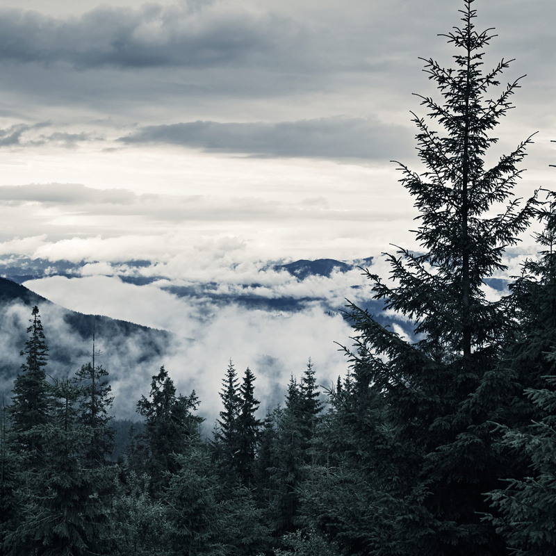 Фотографія Хмари під ногами / Андрій Майковський / photographers.ua