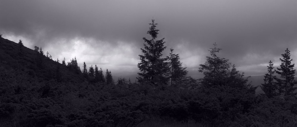 Фотографія Smereka Meditation st. 2 / Андрій Майковський / photographers.ua