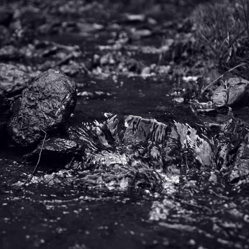 Фотографія Тихий шепіт води / Андрій Майковський / photographers.ua