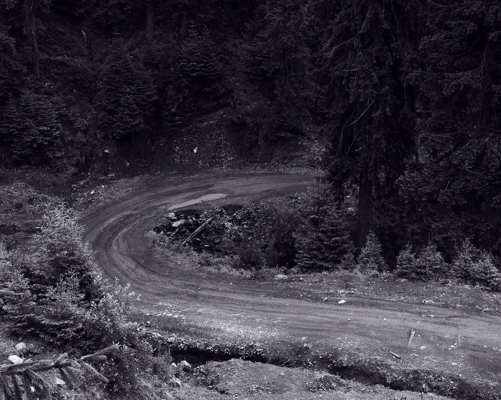 Фотографія Карпатська дорога / Андрій Майковський / photographers.ua