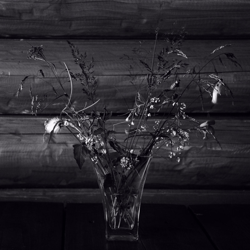 Фотографія Карпатський натюрморт / Андрій Майковський / photographers.ua