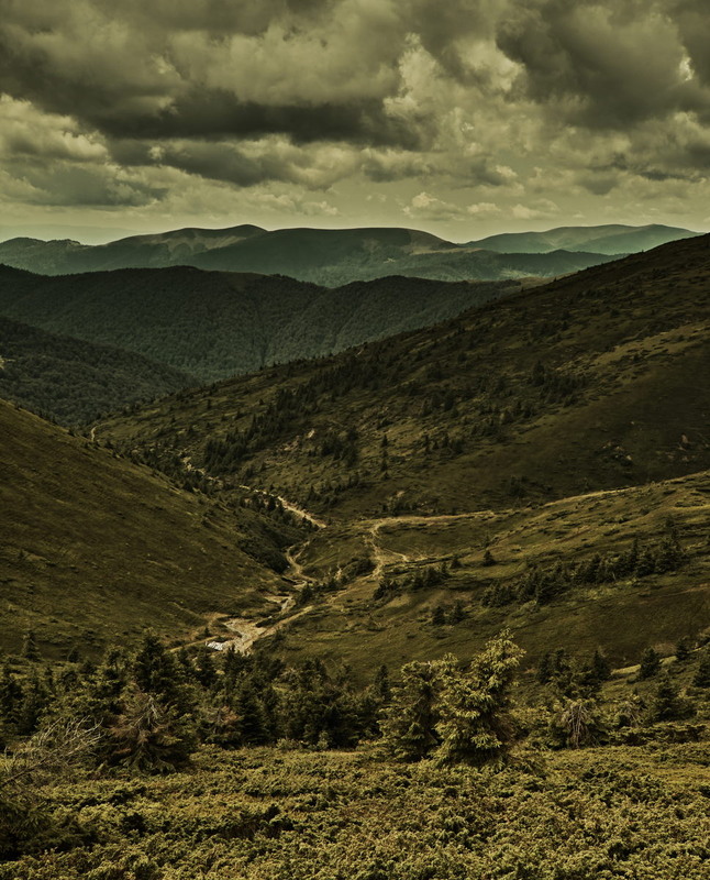 Фотографія Долина / Андрій Майковський / photographers.ua