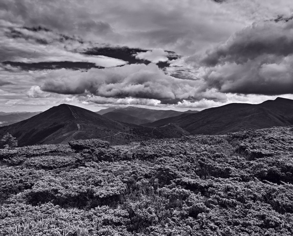 Фотографія Країна гір і хмар / Андрій Майковський / photographers.ua