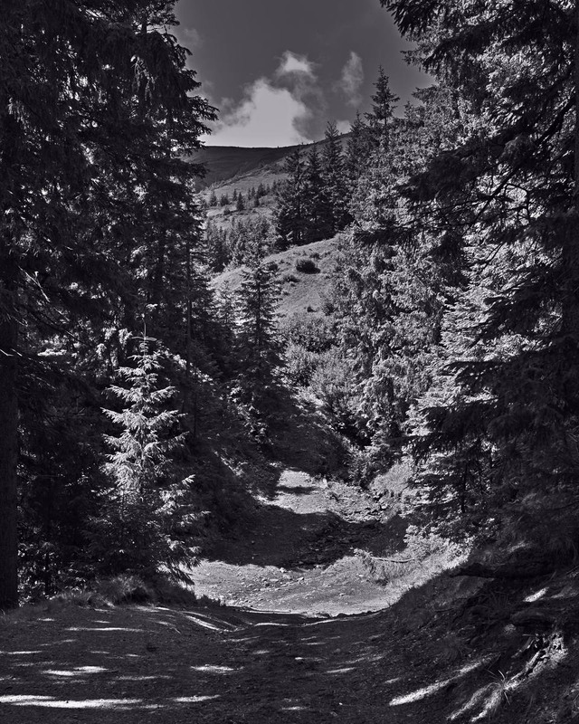 Фотографія Мерехтливі Карпати / Андрій Майковський / photographers.ua