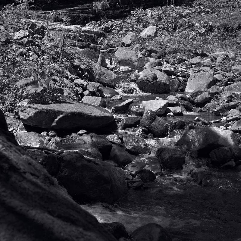 Фотографія Шепіт води / Андрій Майковський / photographers.ua