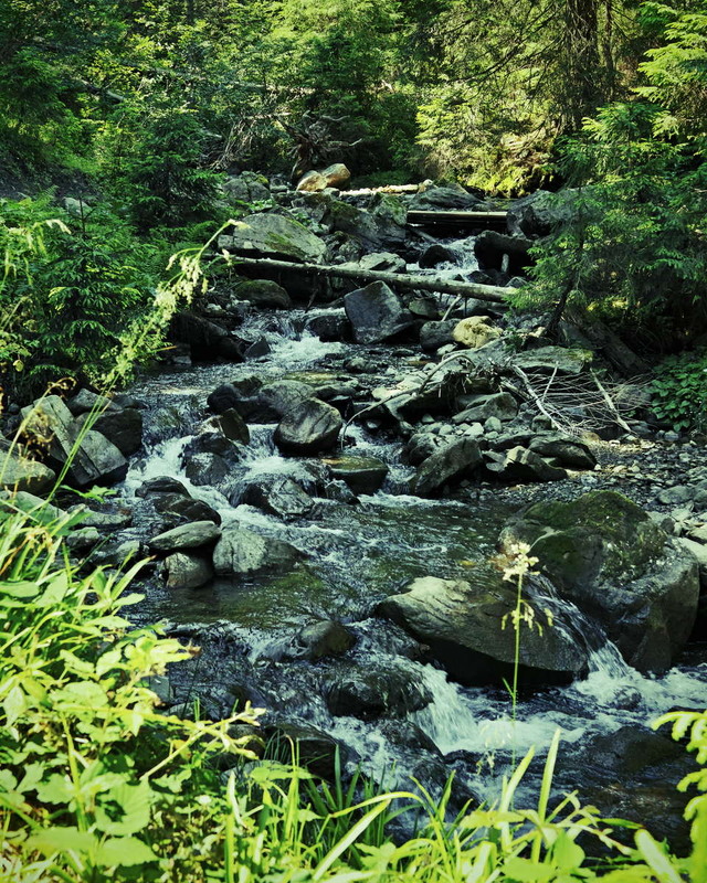 Фотографія Потік у глибинці / Андрій Майковський / photographers.ua