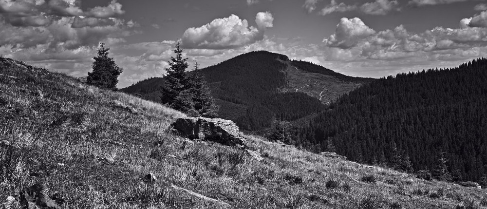 Фотографія Почуття свободи / Андрій Майковський / photographers.ua