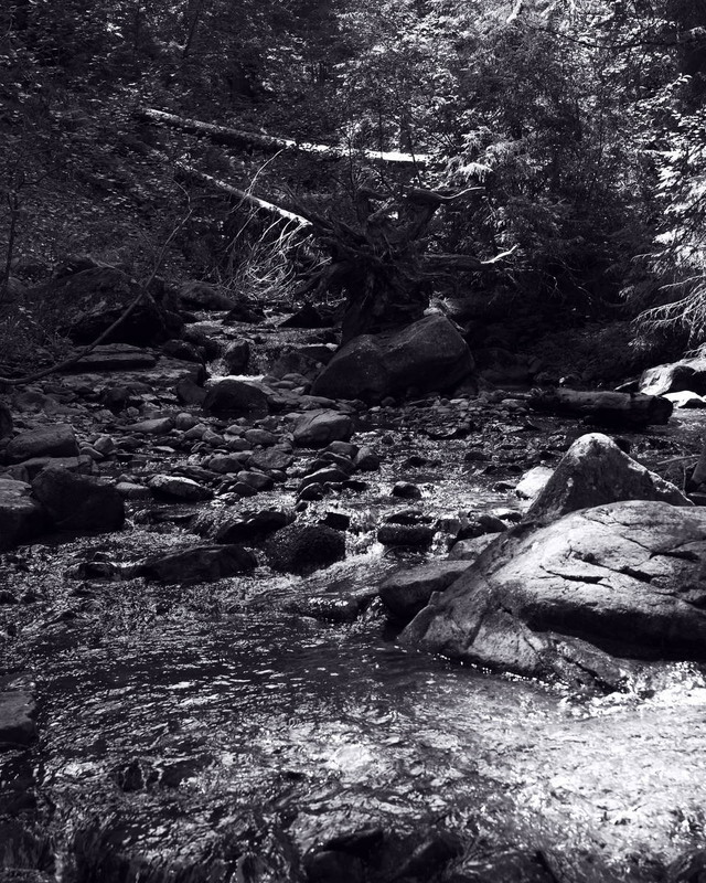 Фотографія Лісовий потік / Андрій Майковський / photographers.ua