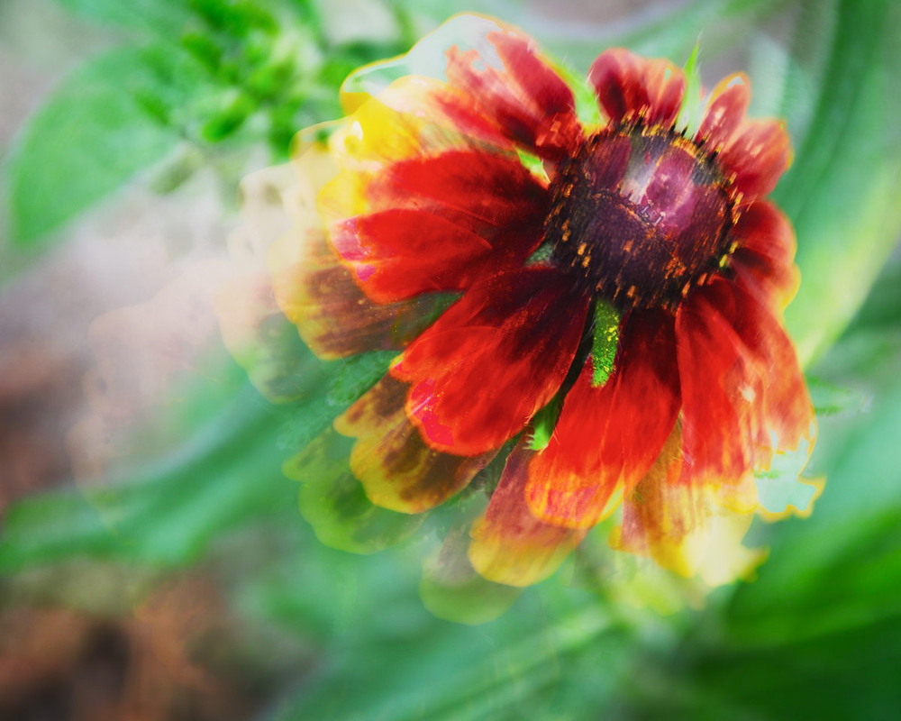 Фотографія Fluidity Of Life / Андрій Майковський / photographers.ua