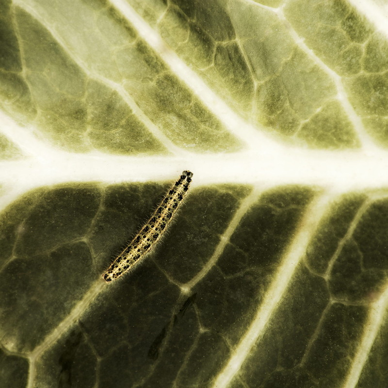 Фотографія Шляхи / Андрій Майковський / photographers.ua