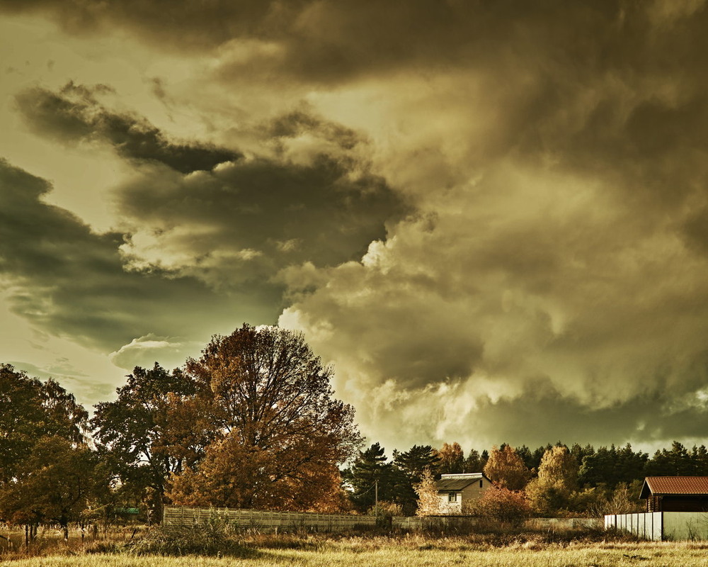 Фотографія Небо осені / Андрій Майковський / photographers.ua