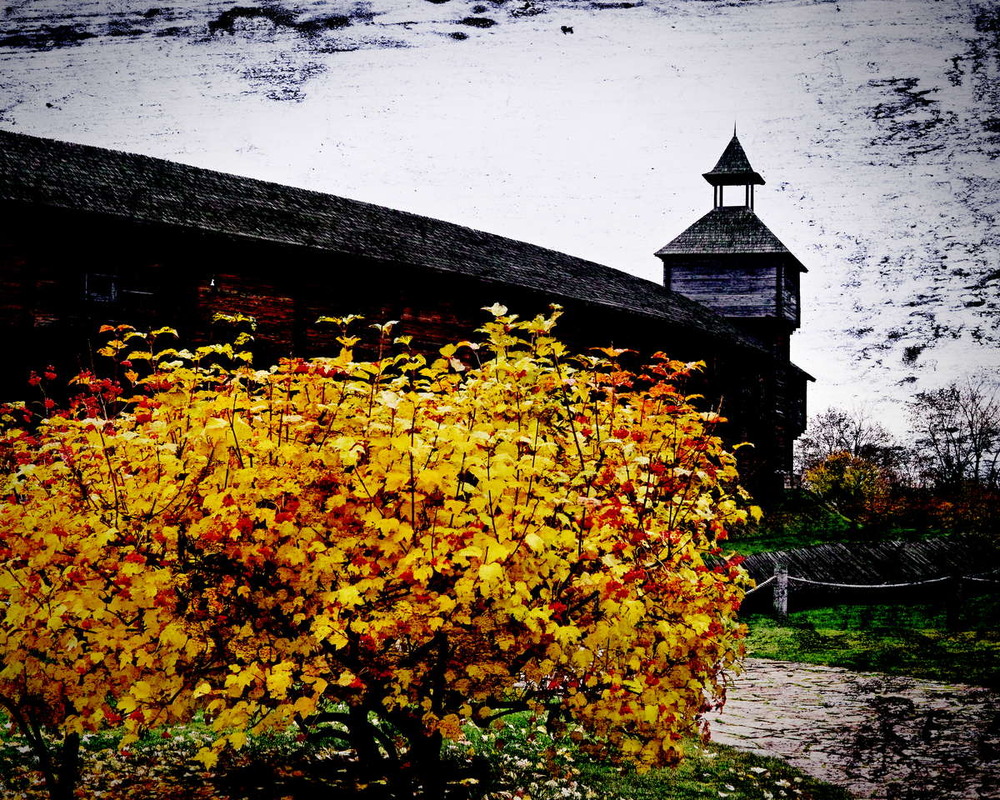 Фотографія Батуринська осінь / Андрій Майковський / photographers.ua